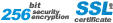 SSL Certificate 256 bit Security Encryption