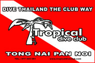 Tropical Dive Club