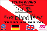 Dreamland Diver